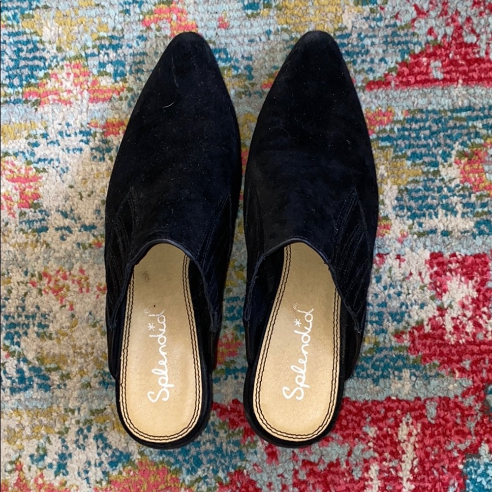 Splendid mules